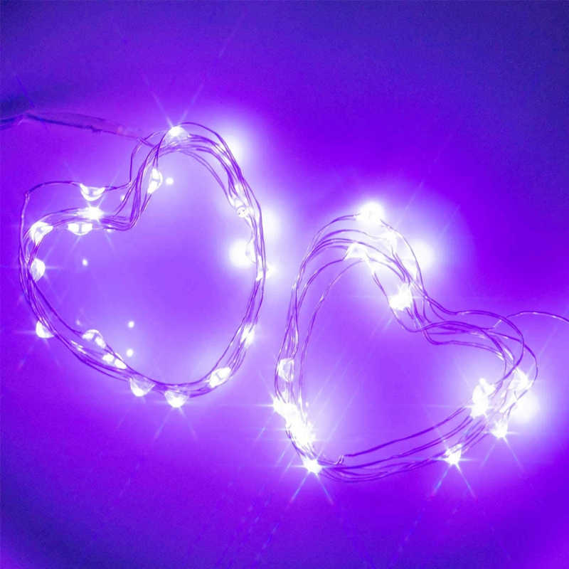 Copper Wire LED Fairy Lights