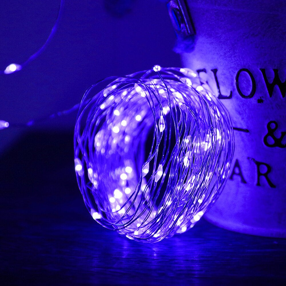 LED String Holiday Lighting