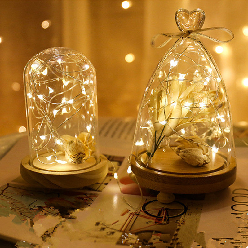 Holiday Fairy LED Lights