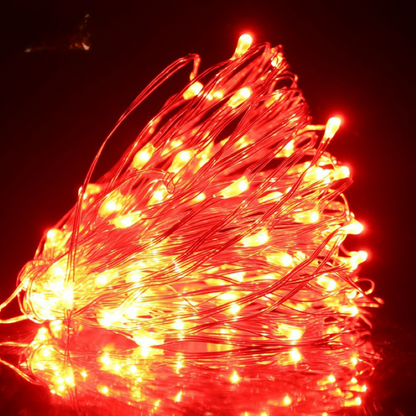 LED String Holiday Lights